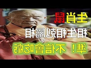 鼠 兔 配